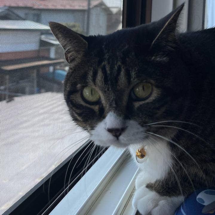 D5f778ee 3136 48ad 9d34 2758fdc0bf8a 1773187797449