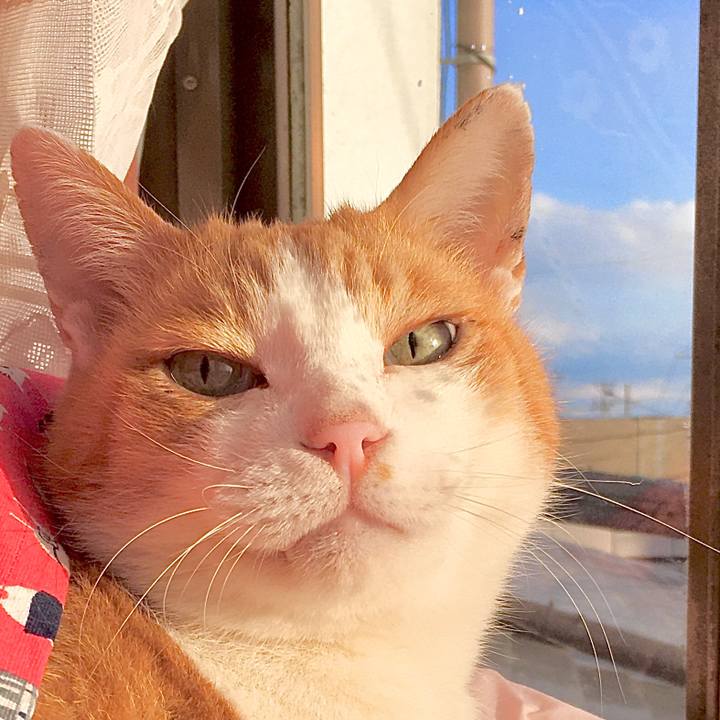 D5f79e26 5a69 44c3 b9b9 77dd0f631ba7 1579580130989