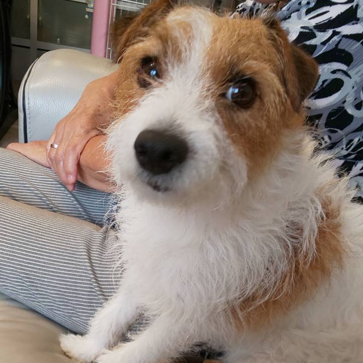 D5f7b382 6aac 4373 b536 b0a8df547125 1593993447175