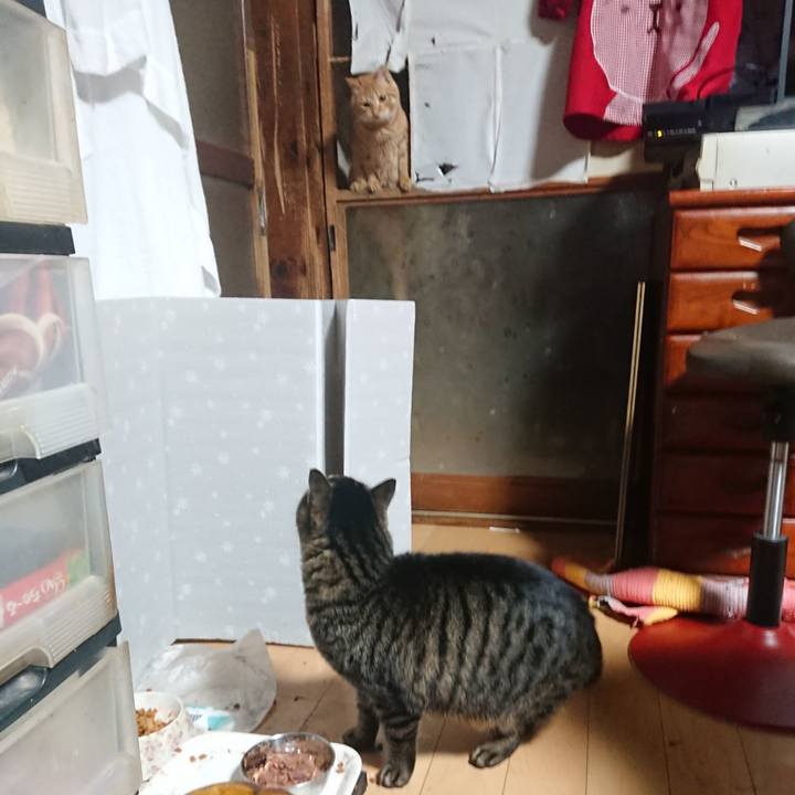 D5f7b39e f4ae 4143 8098 130fd76f897b 1639600734585