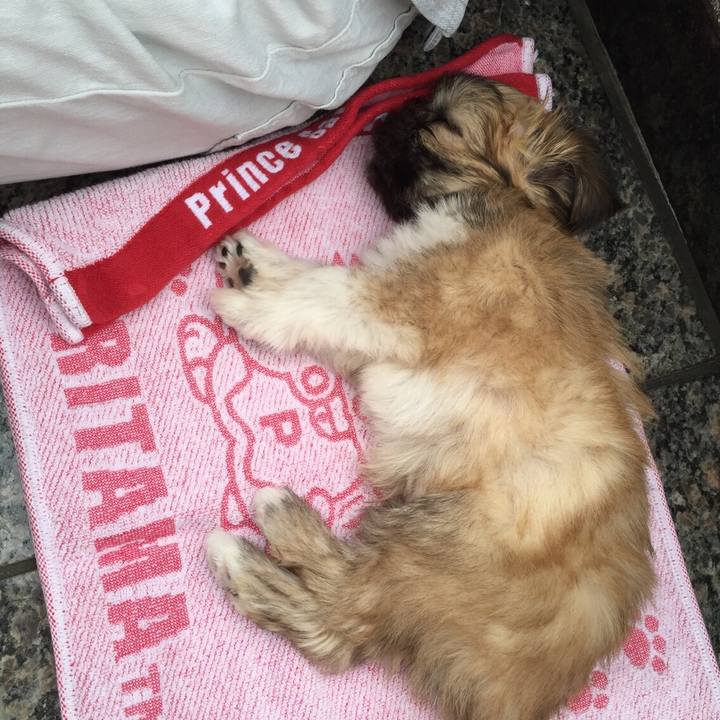 D5f7b418 685b 44de 8e6b af79b84b495e 1559817840998