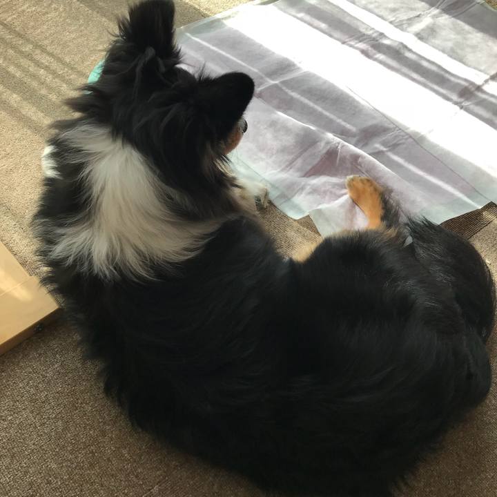 D5f7d4e9 4d5c 469d b631 ed8fd30d3b9b 1522451910133