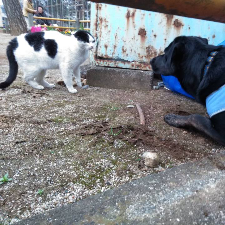 D5f7ec37 40df 42b9 941f c53fe4e7c17f 1583311530357