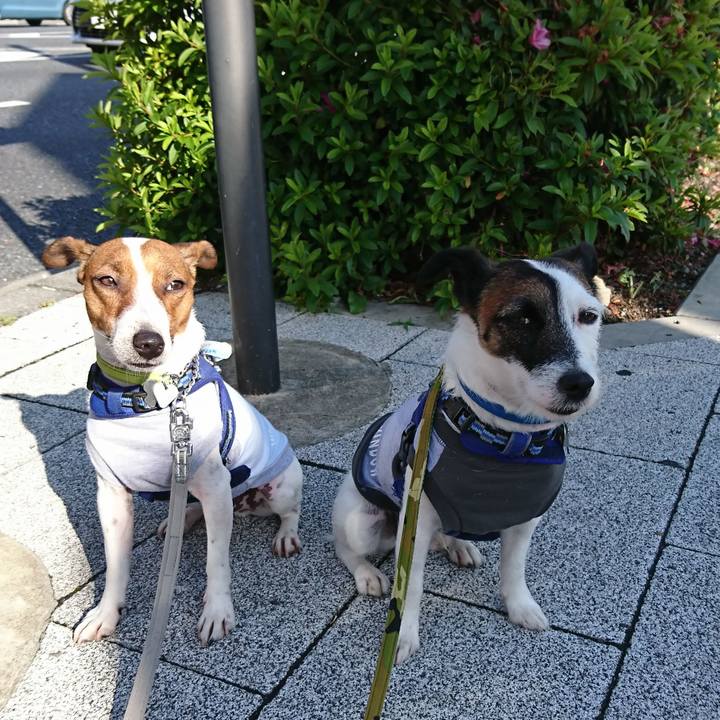 D5f7f2a7 d012 44ad 9495 9cbe6a9032a3 1558563509483