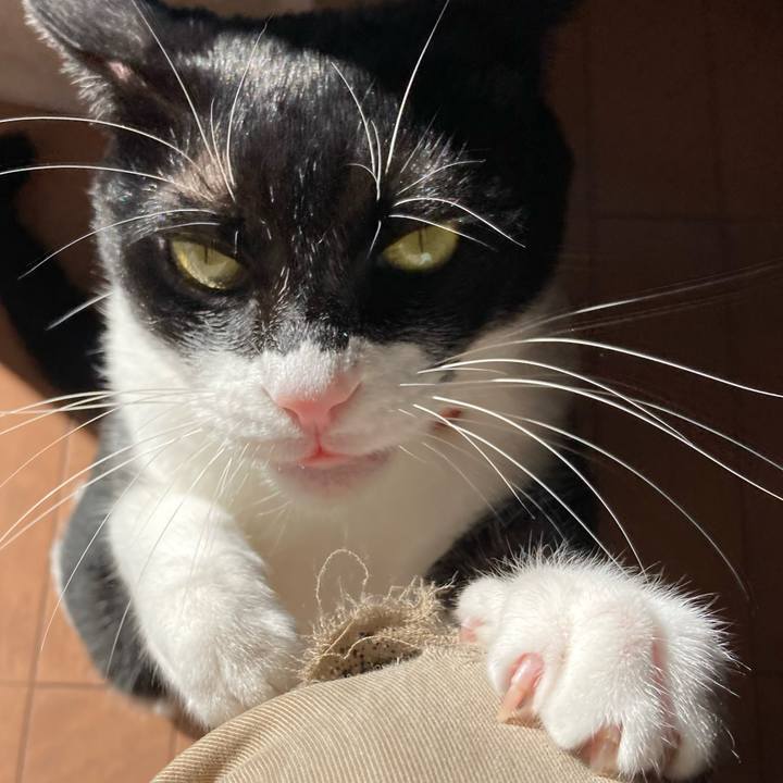 D5f7febb c935 4915 a6f7 0c378470e844 1612265680201