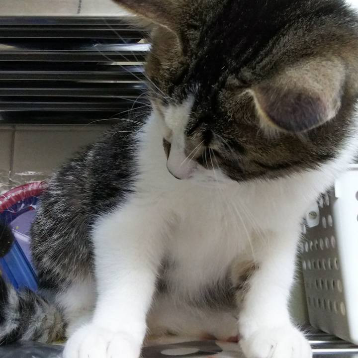 D5f80047 acd5 4367 9ead 58af2d02c926 1614431100928