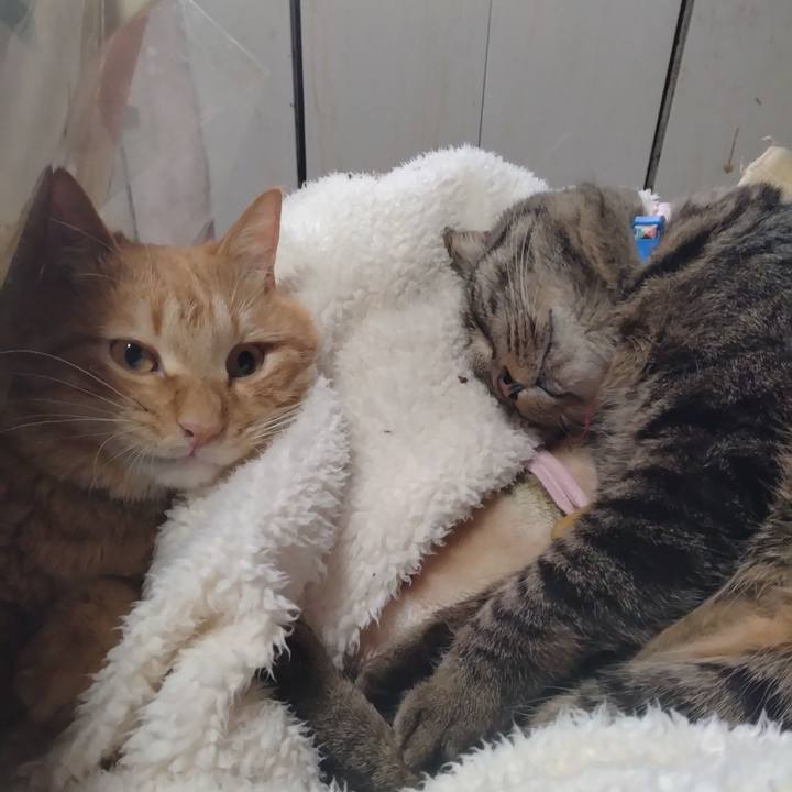 D5f83b6b 4493 4fba a141 3e2292170541 1674264551293