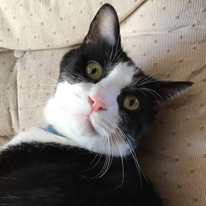 D5f844f2 d7e6 41ef a187 a1282a018d57 1754298980375