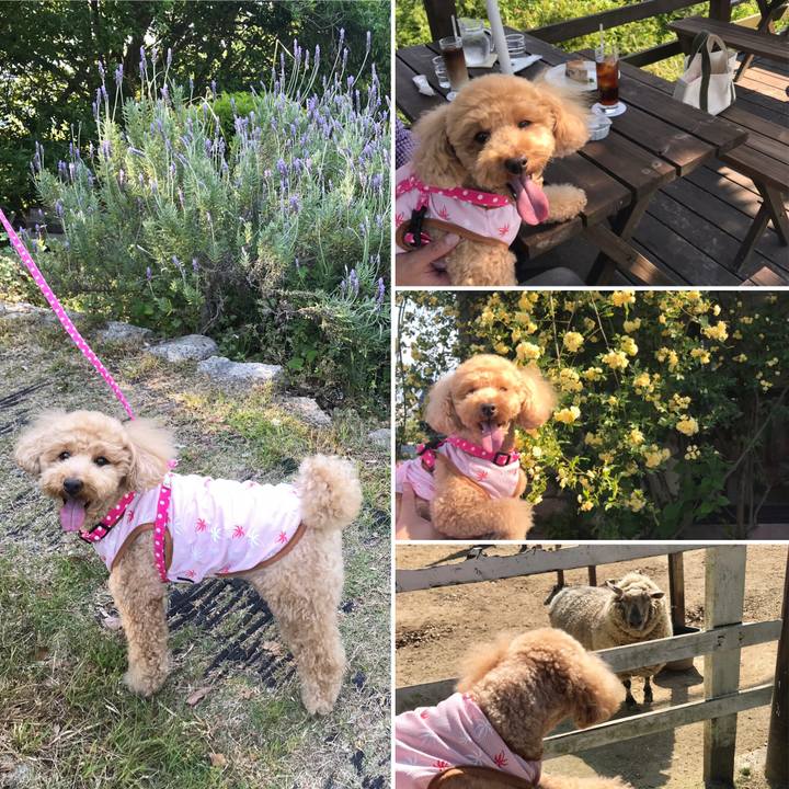 D5f8a25f a282 4a41 b341 40ad2aa30433 1557755548755