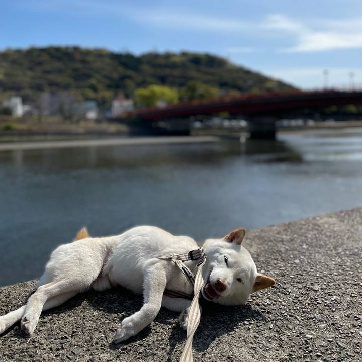 D5f8aaac 67ab 43e4 baff cd5ac15ec7d1 1649177205536