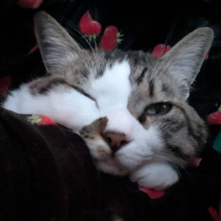 D5f94d98 e6ce 49e9 9170 33c87da3b59e 1739669462668