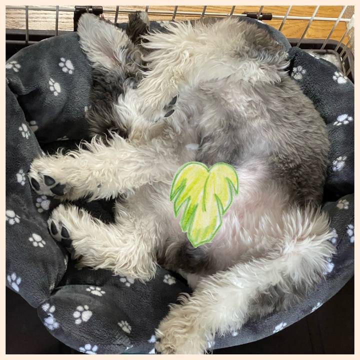 D5f957ff 1a0c 421f b19c 738634897118 1573487296949