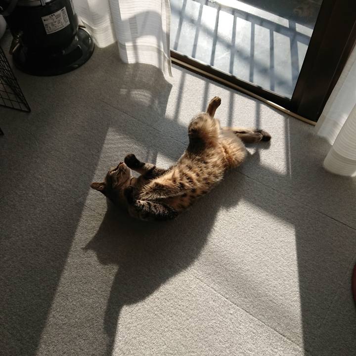 D5f9826d d4ad 416e 96c1 a8fd85eb9989 1520144572907