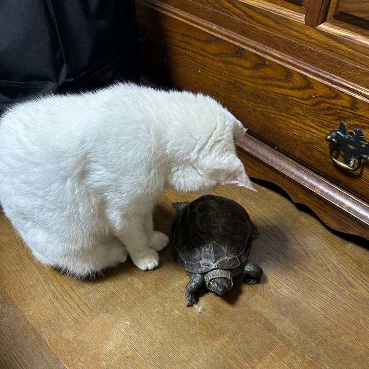 D5f98edc 9b19 4e6e 960b 7af26281ab41 1725259110361