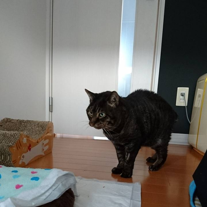 D5f9a1e6 3621 4dbf 9888 73a4b865cd96 1549422123493