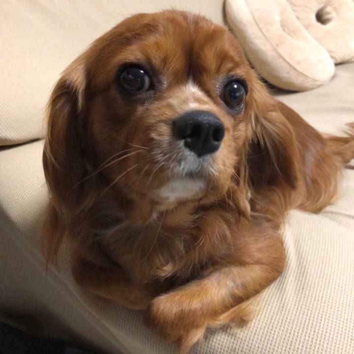 D5f9bb55 450e 40a4 b3d2 2d0759f6018b 1550147284204