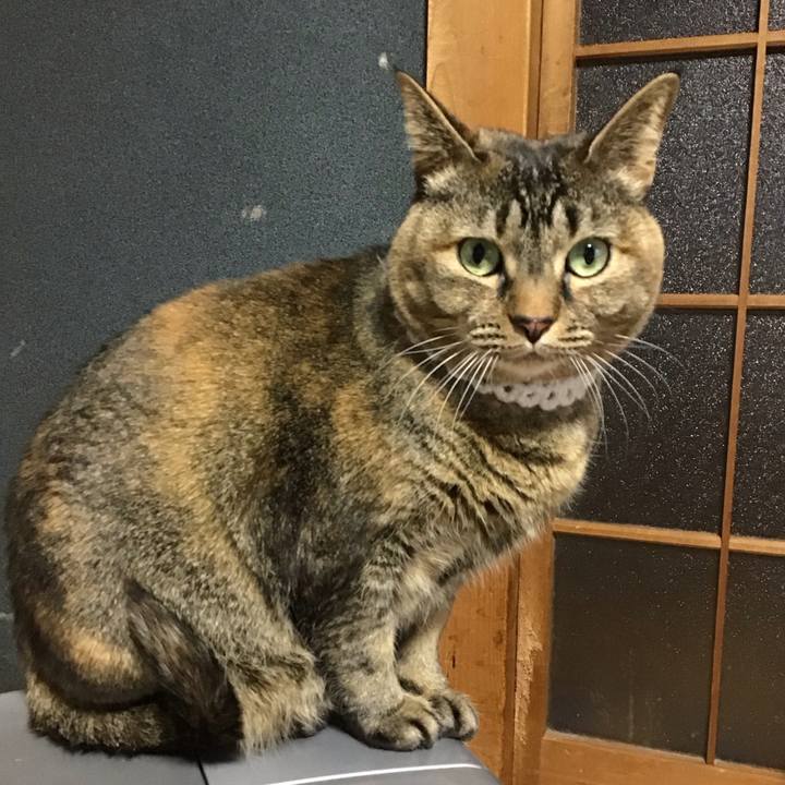 D5fa2400 4d57 4e50 8572 f2f1b75e40e9 1741246928567