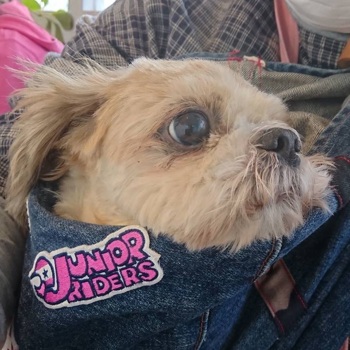 D5fa2fe4 8b09 4724 b778 3c3dfd8daa3c 1668165038727