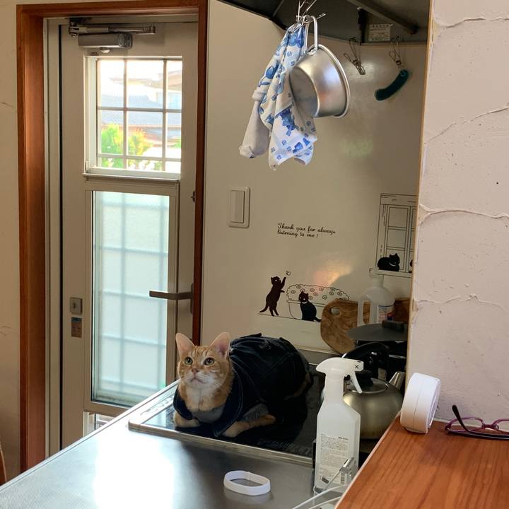 D5fa5c06 714b 40f6 a717 4632263fce78 1653256117312