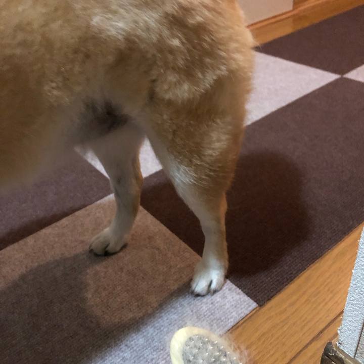 D5fa5d34 9150 4281 8fe2 a15596163881 1555569304220