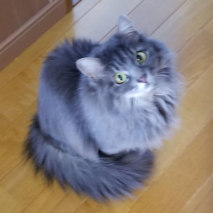 D5fa5d82 2bc7 40e3 be1d 2a0baf2977c5 1555591376848