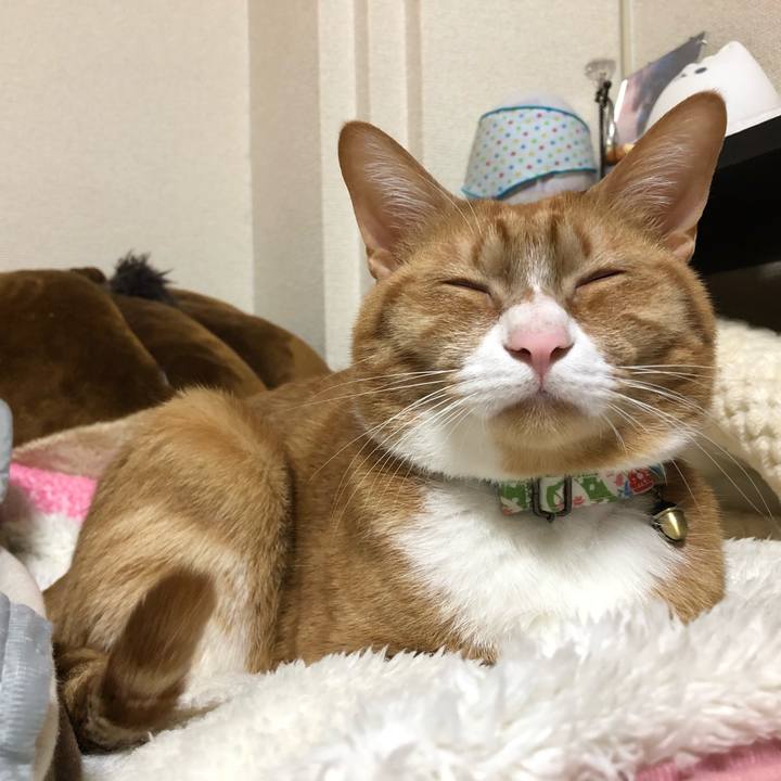 D5fa64af 6f1a 4299 97c8 dc0002d45699 1607275140756