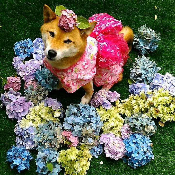 D5fa741a 754c 4e99 a44a c94547356222 1562293191225