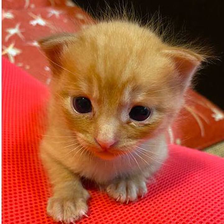 D5fa8cd9 95a2 4899 b981 bbffa4f45d5e 1739094255322