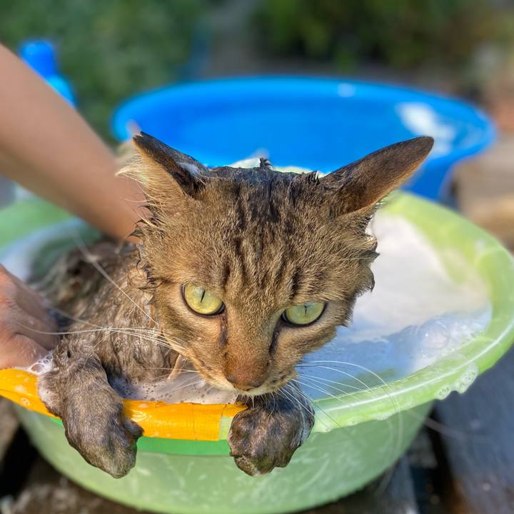 D5fabcad 4174 4f6e 90fe 0363947a4367 1725931821790