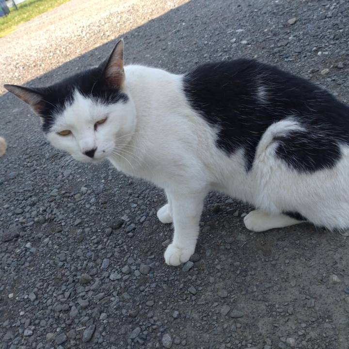 D5fad18c 281e 4b01 b8fc b58c44bfea8a 1753400229248