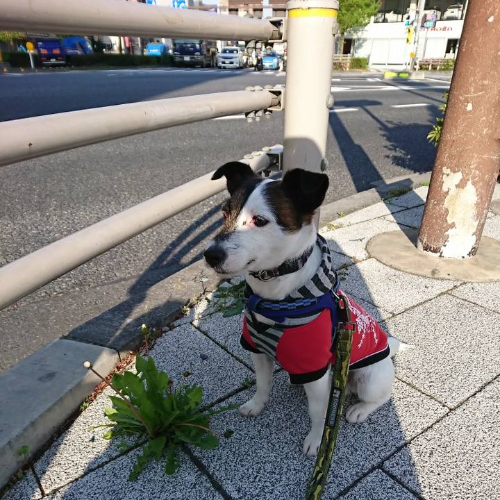 D5faee84 f0b7 4a92 9bc9 91f95741b9dc 1523312277473