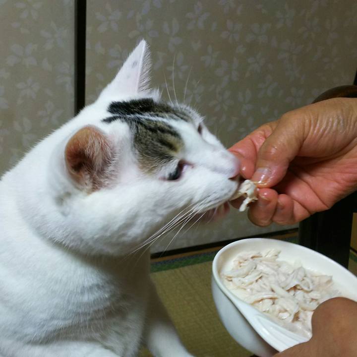 D5faf8d2 c94e 46c6 b886 08315cdb6de2 1508405814080