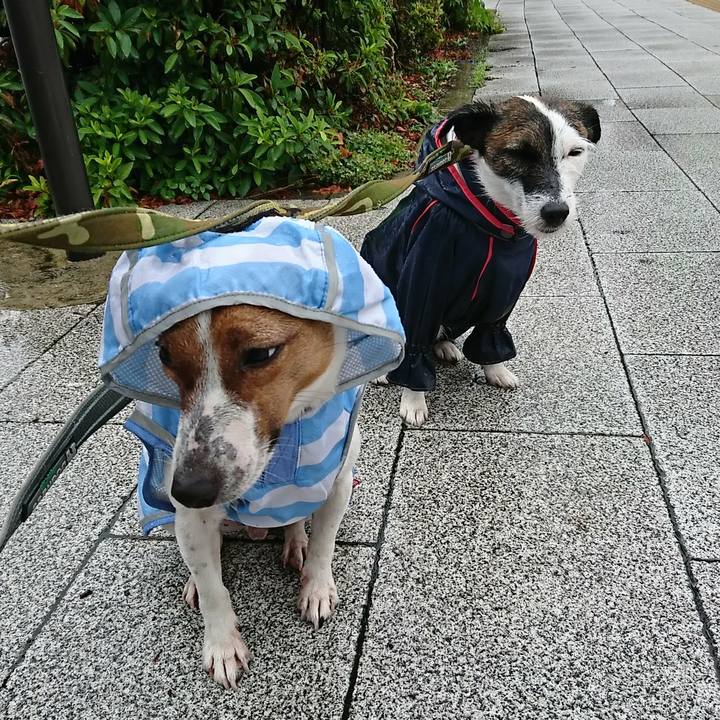 D5fb1523 87ef 4ba7 aebe 766d0e04b465 1528669964223