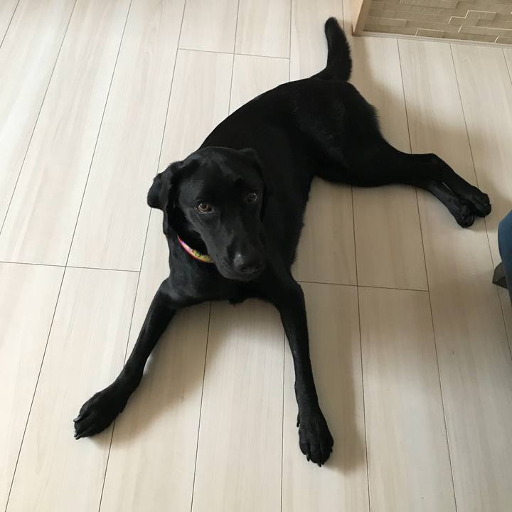 D5fb24f3 ded1 4ad9 b63c 5e5afc844a5e 1532564161898