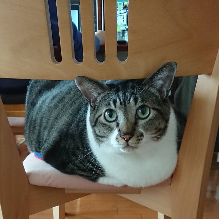 D5fb6354 2fc1 41f9 827d a66f356eaac4 1539477975983