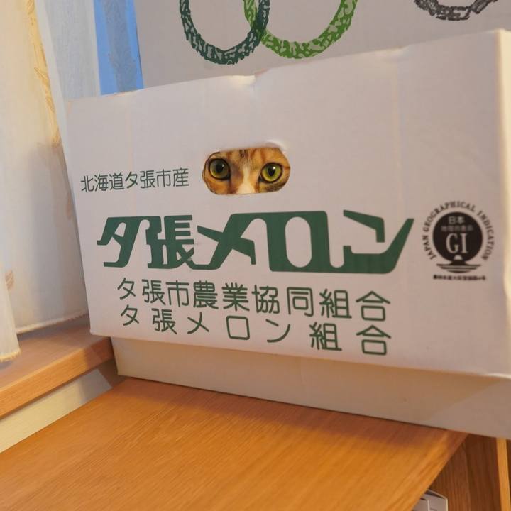 D5fb8116 267f 4f2a 8c00 56b6158923ae 1595726847329