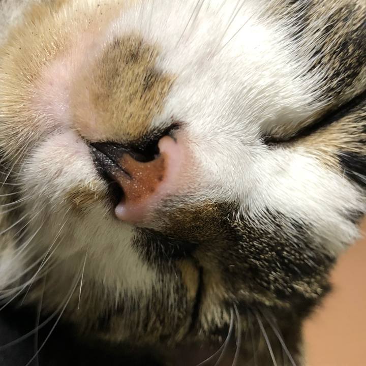 D5fbb530 670b 4a9f 8ae4 a41844aead53 1522408167484