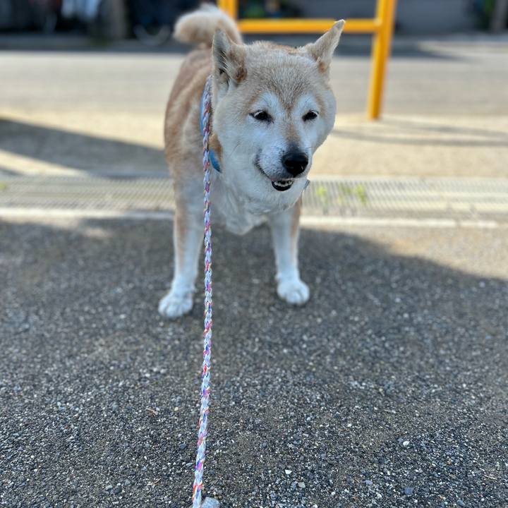 D5fbc1b1 a9e1 4e1c 817f 9fcf1e518f36 1750032005136