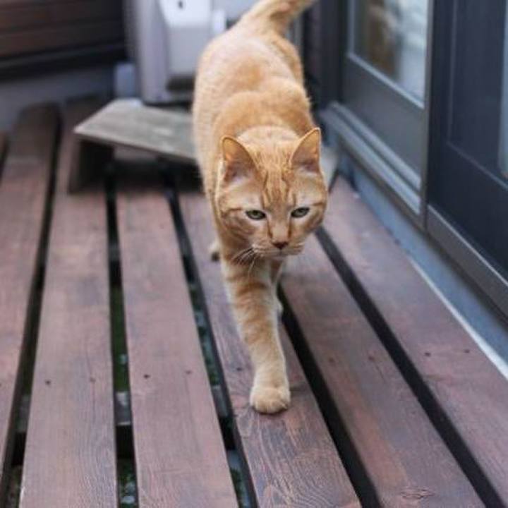 D5fc14f1 2284 4bf8 aabb 7f7ac4c0f537 1764201909190