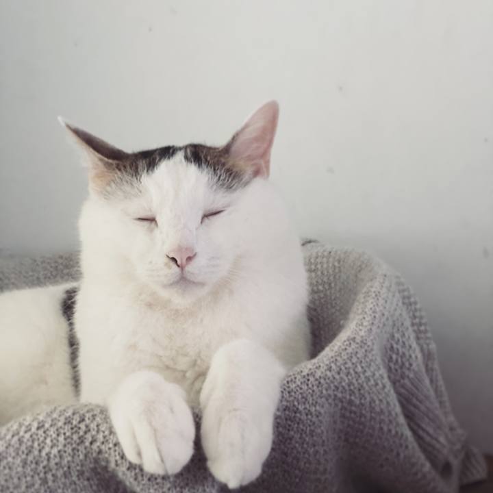 D5fc482e d08d 47a3 8477 89fe1a1d89f6 1596936189403