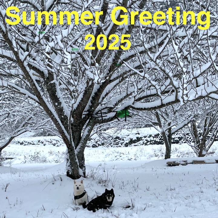 D5fc7feb cfb2 4f55 aaae 504295552165 1754247282446