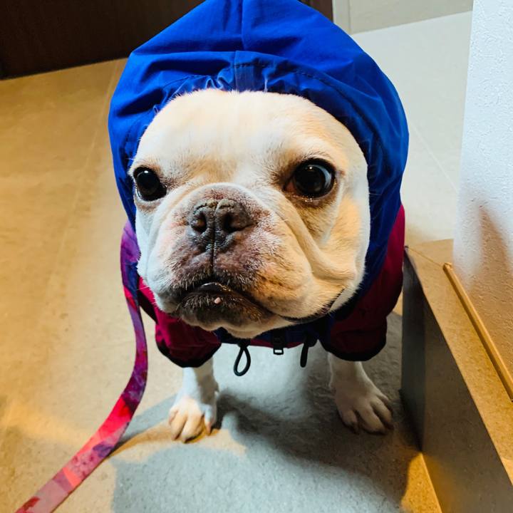 D5fc8ee6 f21c 4f4a ac99 8b1d522c66d4 1593067879672