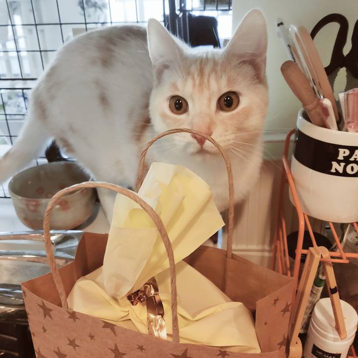 D5fc92ed 6d2e 419d 9a20 3b43db64c480 1640325848825