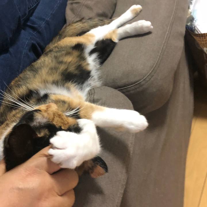 D5fcc0a9 583c 4de1 9a45 3160149ae76f 1570455973309