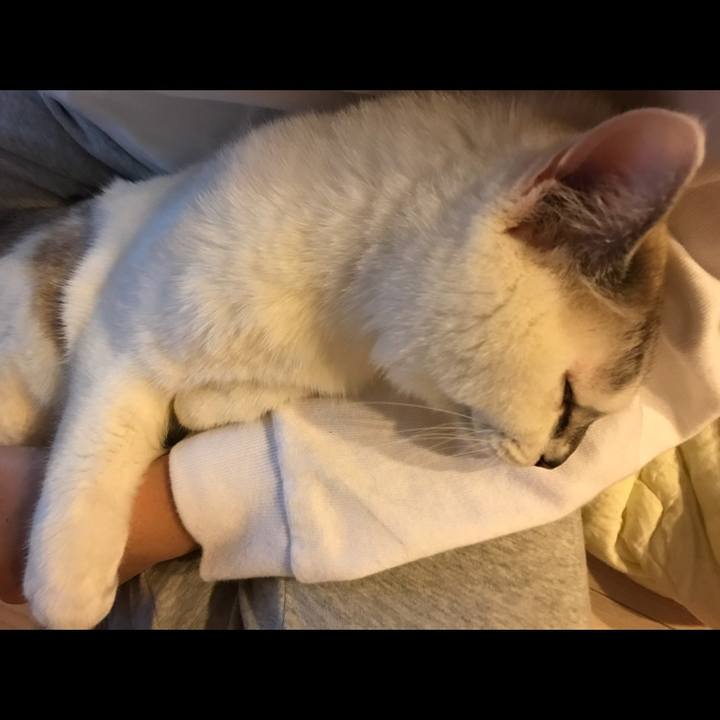 D5fcc722 9210 4206 b92a 9c9631aaaedd 1509571378556