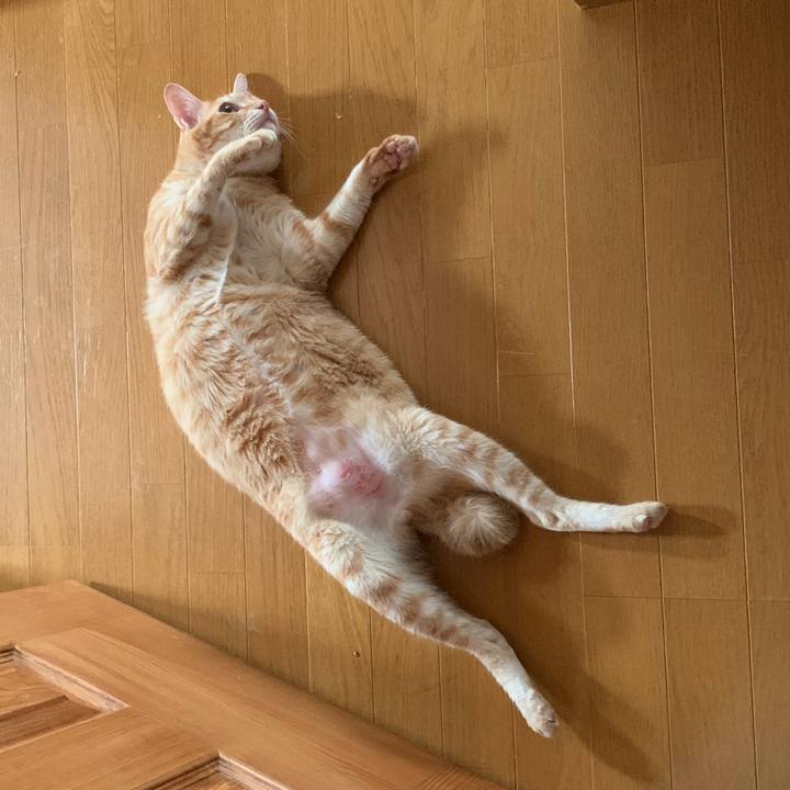 D5fcd141 2e08 49af 8b3b 8c6e470174d0 1565410934211