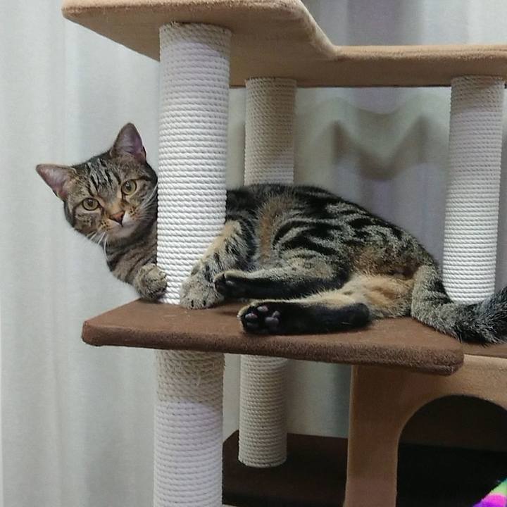 D5fcd57a 0ae2 4a24 a3db aa6d65cf7bf3 1564004551558