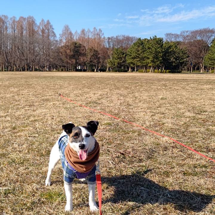 D5fcfe4e ff87 43b2 850c 78b268c28c42 1673082730474