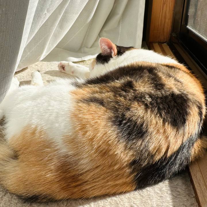 D5fd3549 7d24 46c2 b8e8 766c3d773efb 1669511361210