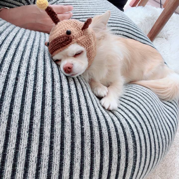 D5fd6e2f 330a 4b91 bebd 266015734e4f 1711854849044